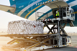 Freighter Aircraft Bays